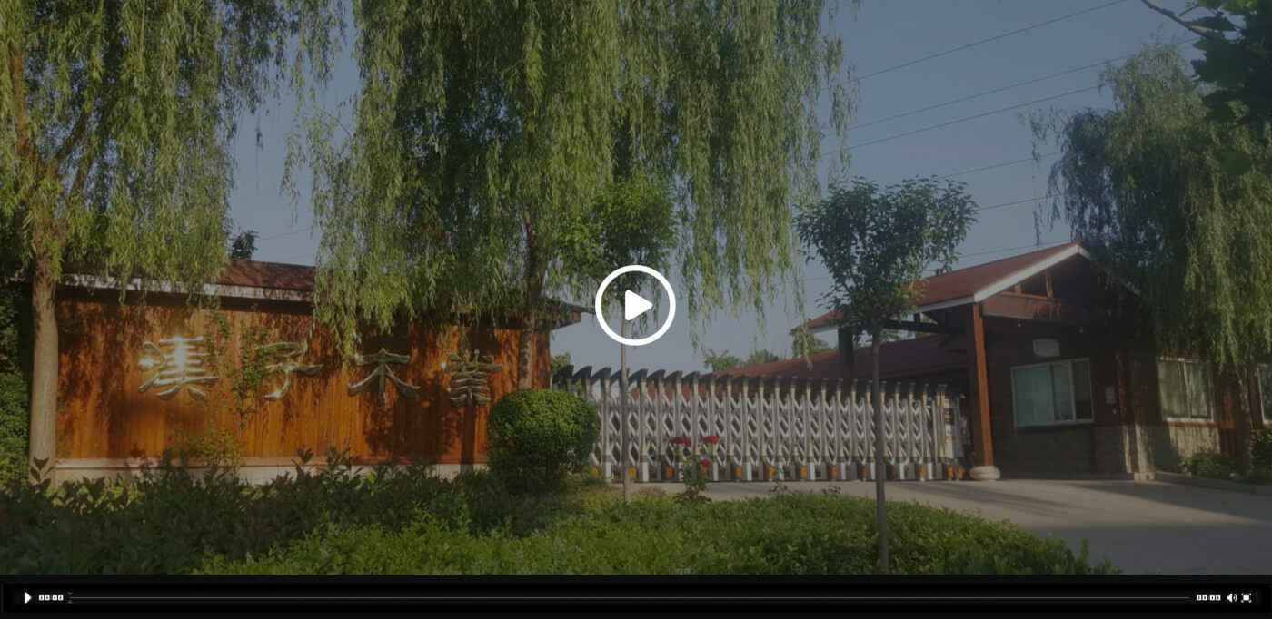 时博官方网站-时博shibo(中国)