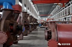 福州杨金运动营养研究有限公司被评为2019年度三水区骨干企业